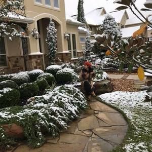 Meet your Posher, Nery